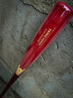 Pro Fungo Bat